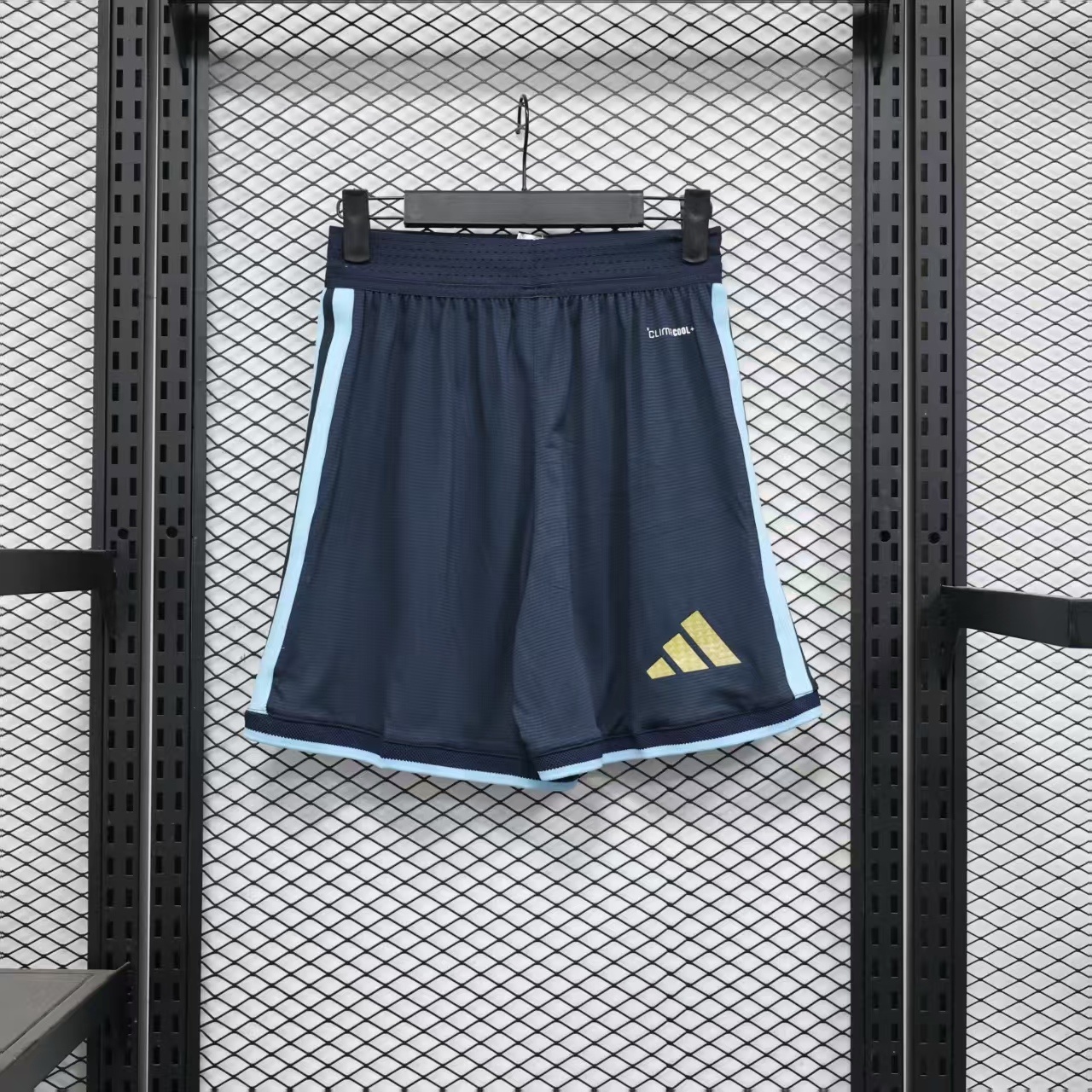 2026 Argentina Home World Cup Shorts Player Version - view 3