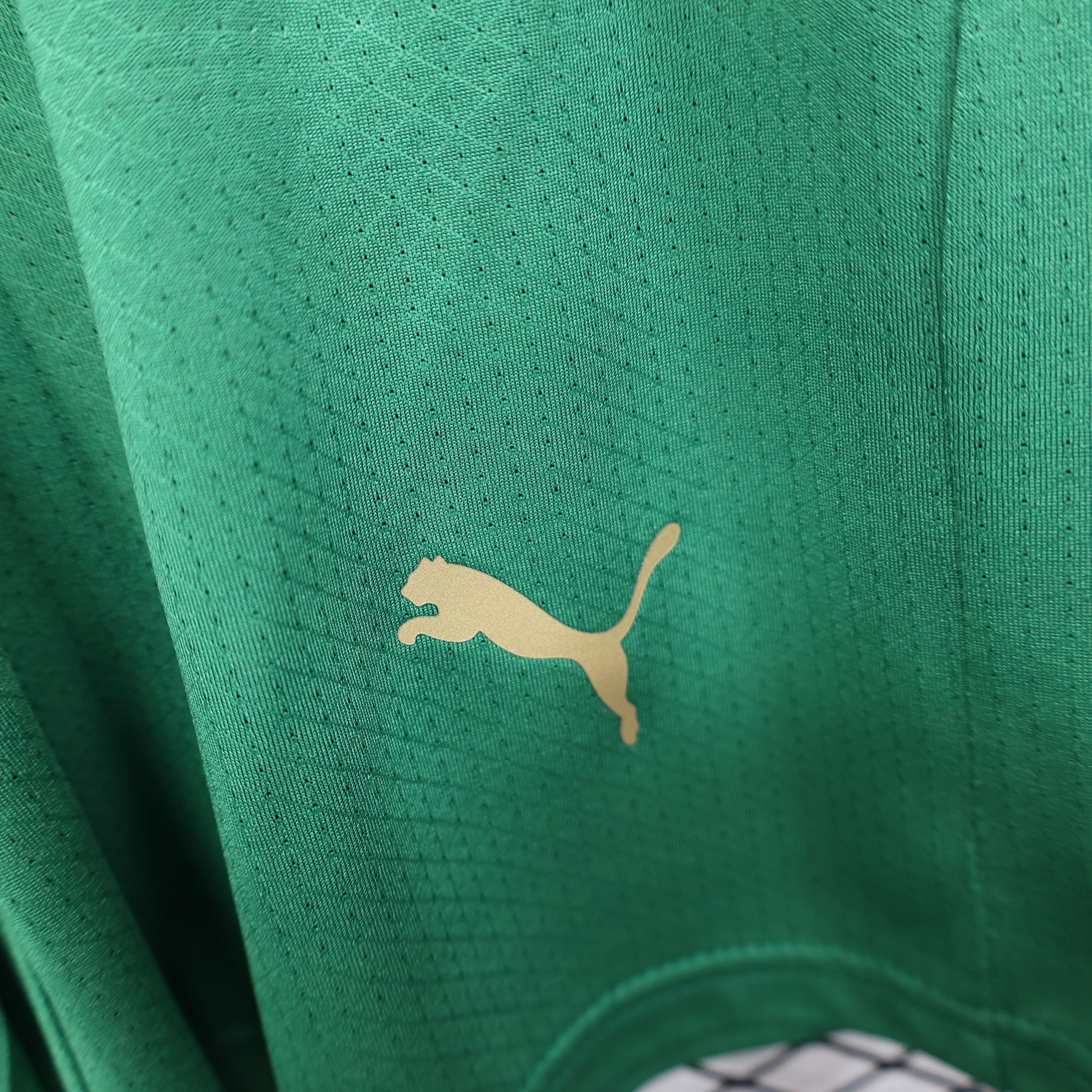 2026 Morocco Home World Cup Soccer Shorts Player Version - view 7
