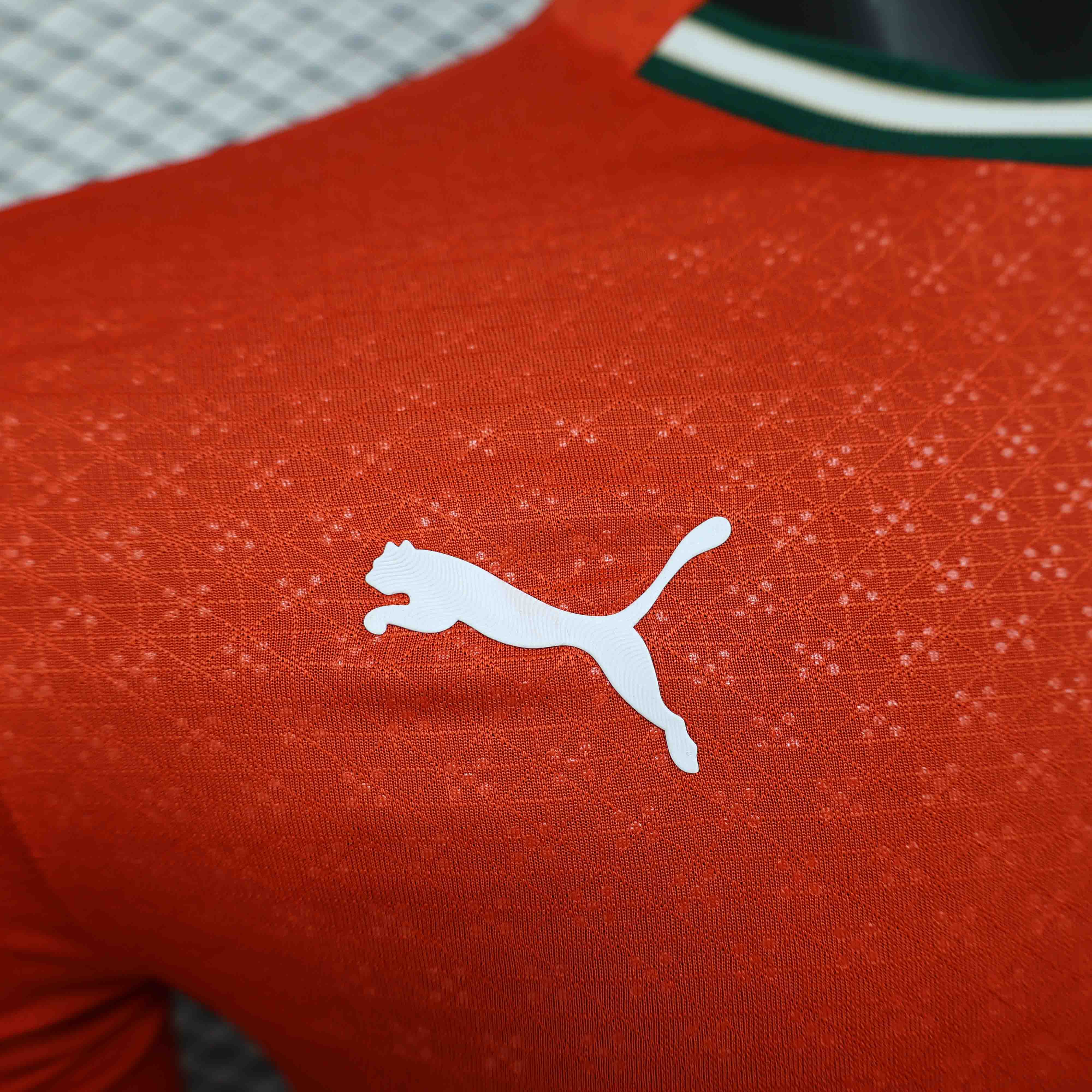 2025 Portugal  Home Soccer Jersey Player Version Long Sleeve - view 7