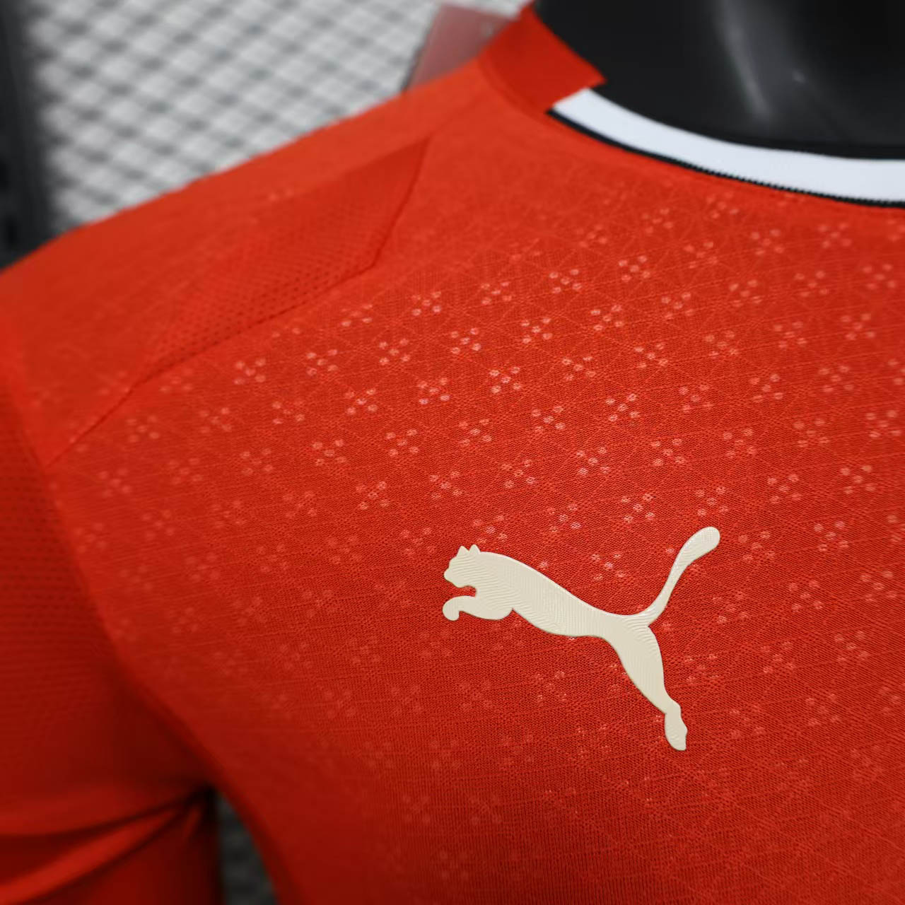 2025 Portugal  Home Soccer Jersey Player Version - view 5