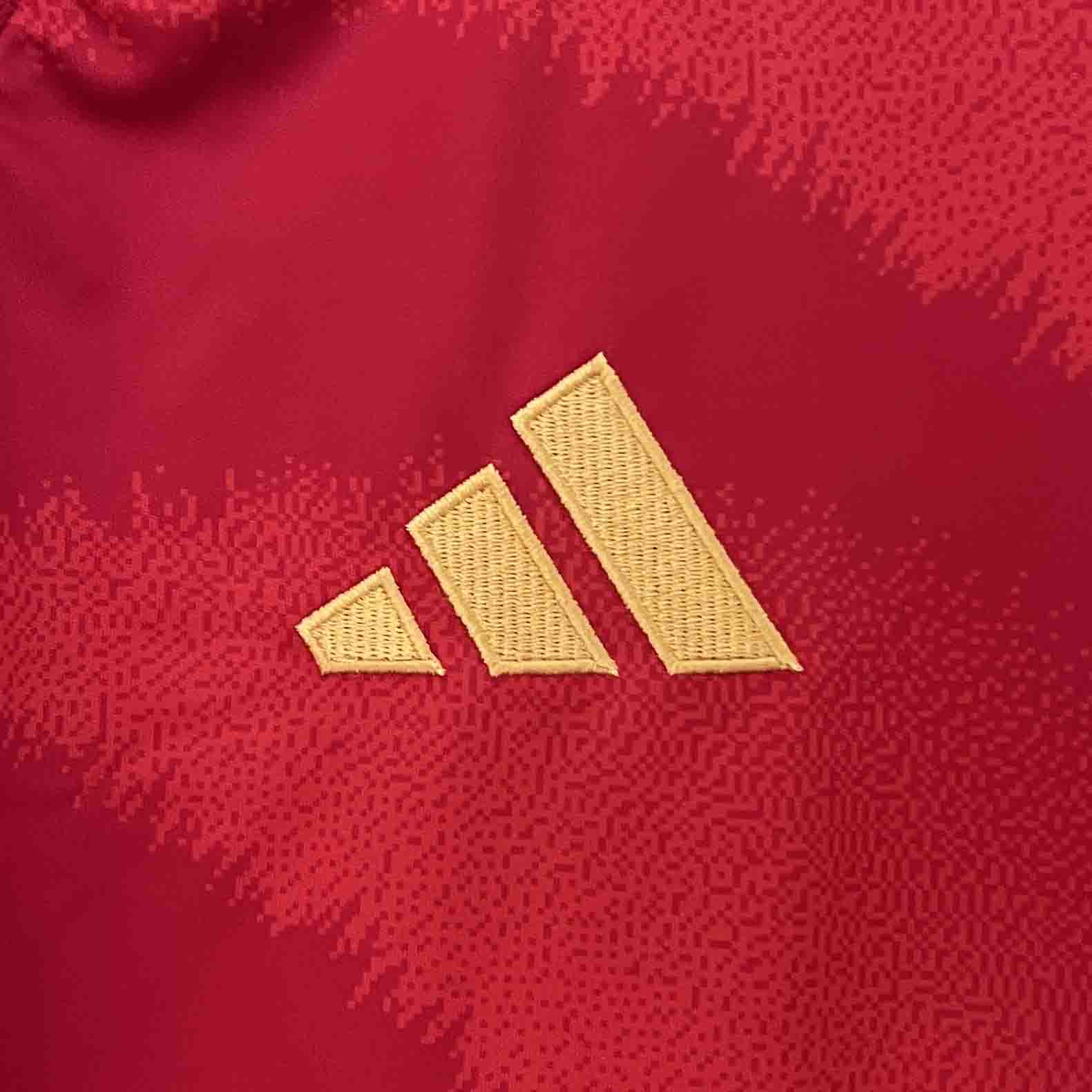 2024 Spain LAMINE YAMAL #19 Euro Cup Home Football Jersey - view 10