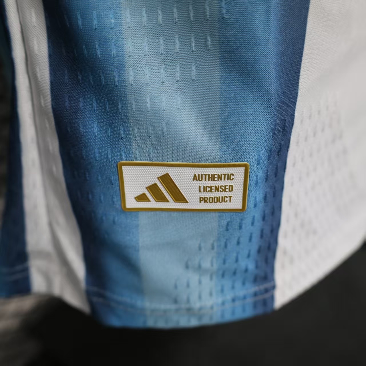 2026 Argentina Home World Cup Player Version Soccer Jersey Long Sleeve - view 7