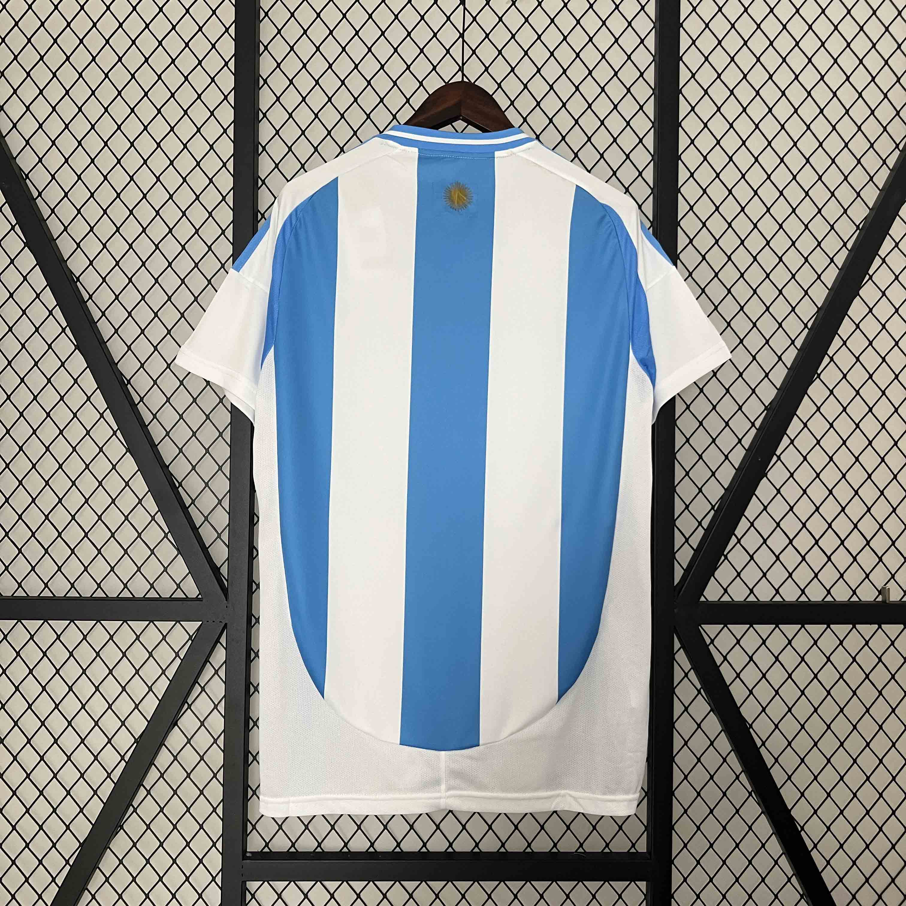 2023/24 Argentina Copa America Home Soccer Jersey - view 3