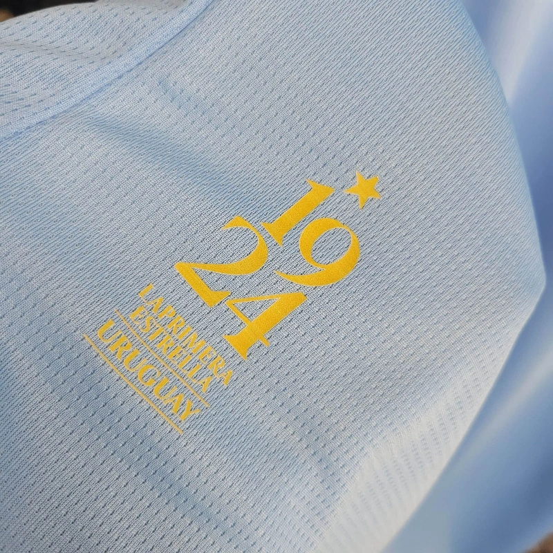 2024 Uruguay Copa America Home Soccer Jersey - view 4