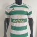 26-27CelticHome - view 9