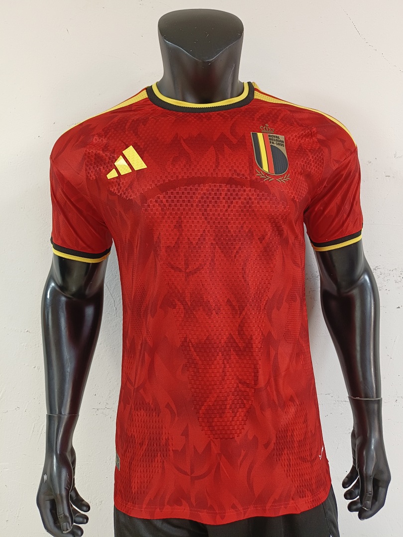 2026BelgiumHome - view 5