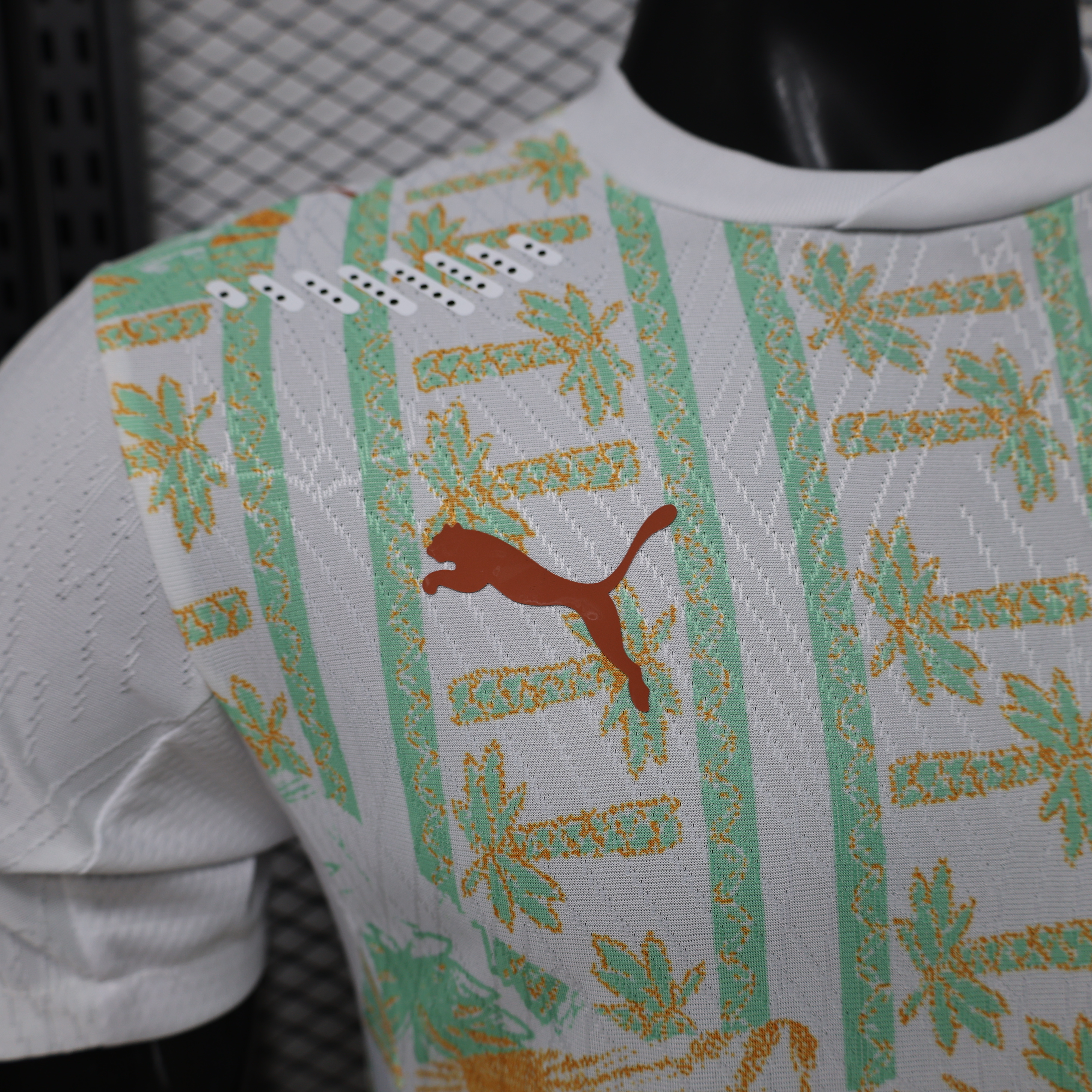 2026 Ivory Coast Away World Cup Soccer Jersey Player Version - view 3