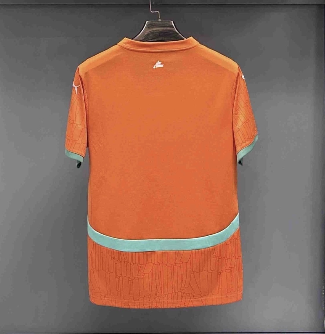 24-25 Ivory Coast Home Soccer Jersey - view 3
