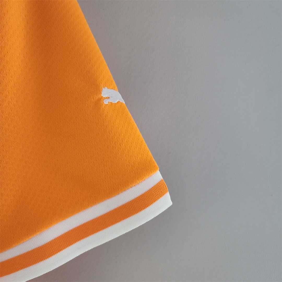 22-23 Ivory Coast Home Fan Edition Soccer Jersey - view 6