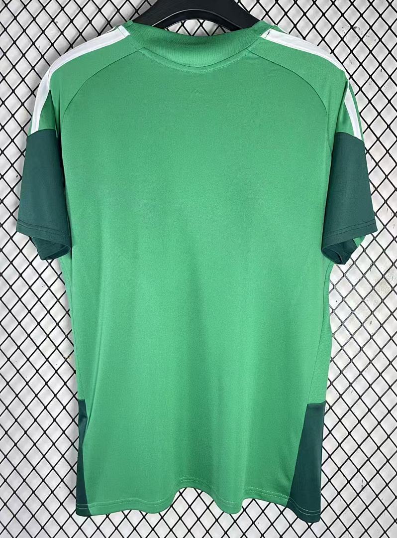 Algeria Training Jersey - view 4