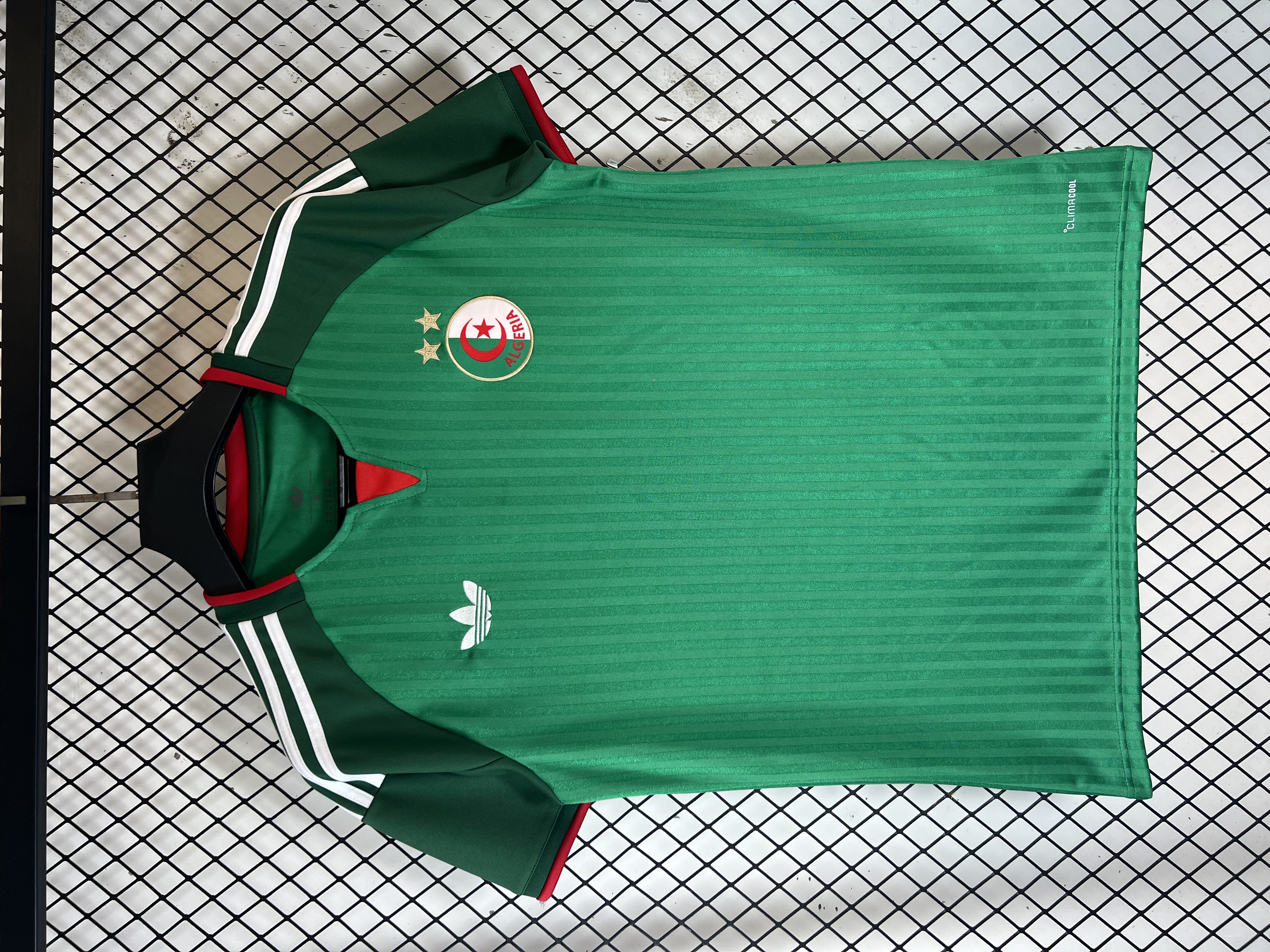 Green Algeria - view 4